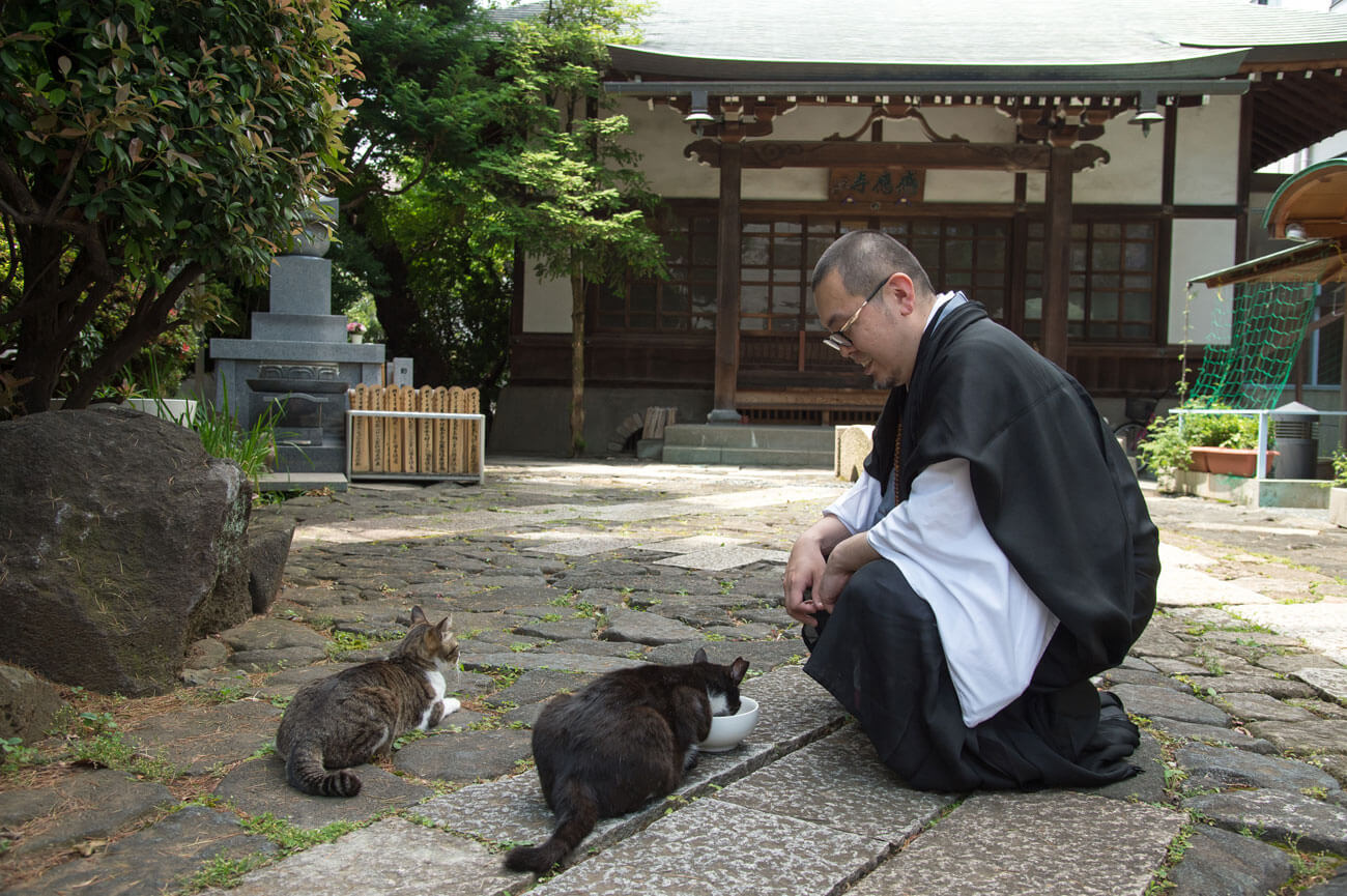 ペット 火葬 お寺 東京 安い