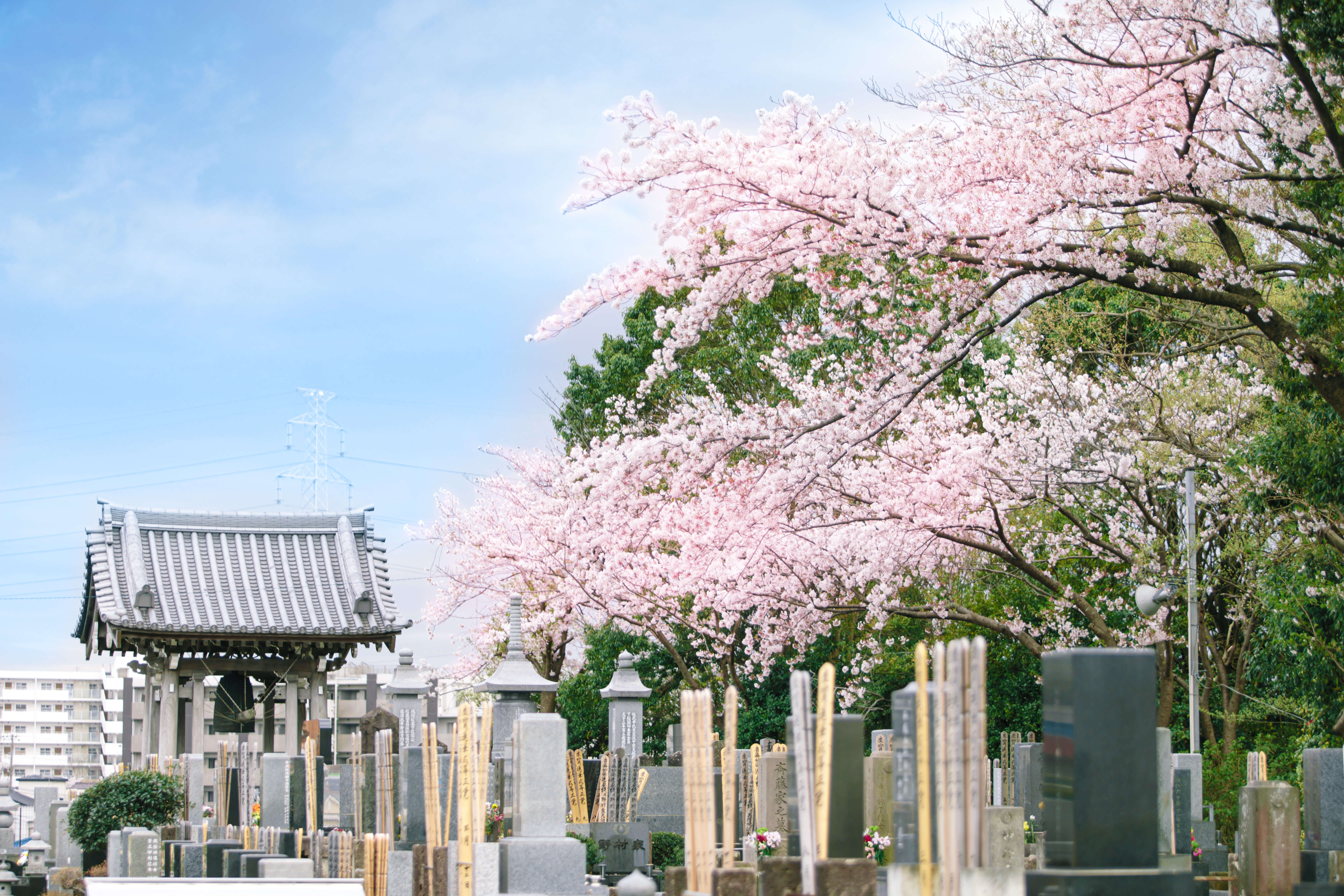 お彼岸・お盆にお経をライブ配信する永代供養【1霊】～名古屋のお寺様～