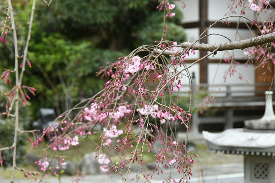 寺院の画像