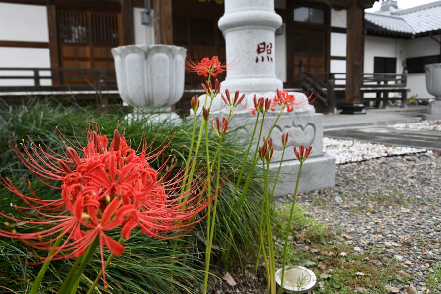 寺院の画像