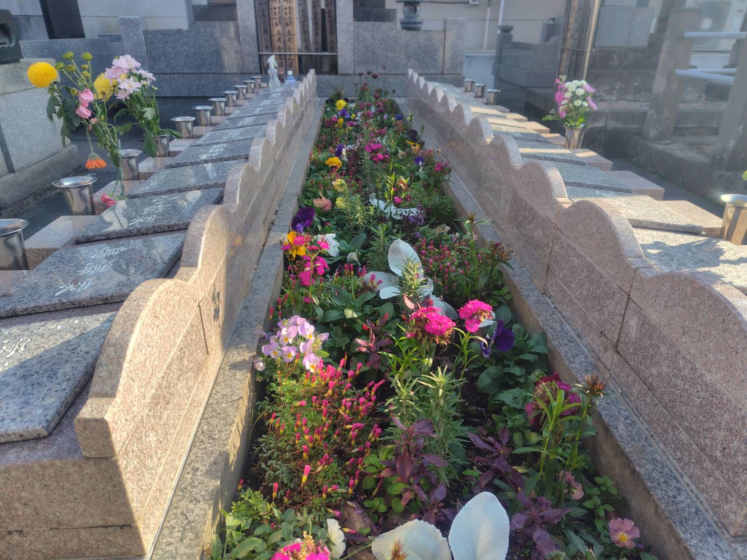 花壇墓・樹木墓