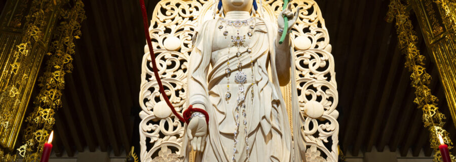 令和の大観音（撮影：浅田政志氏））