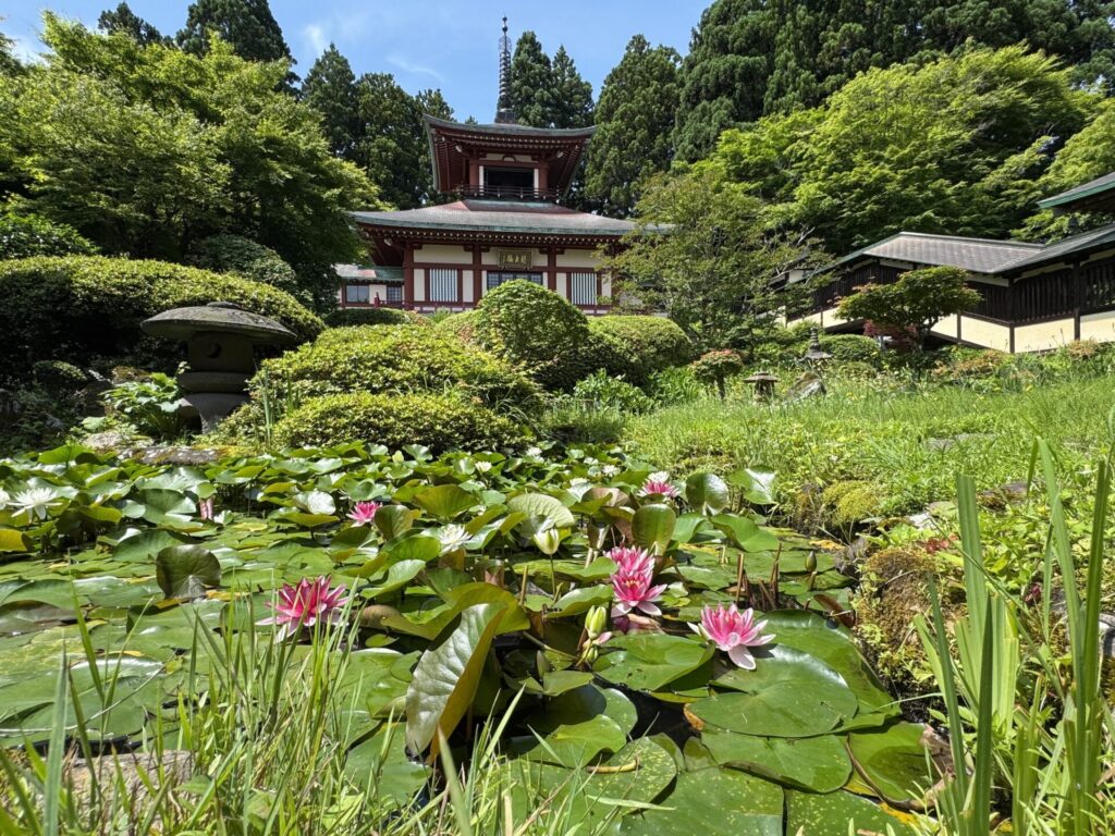大龍寺 朝の庭園坐禅