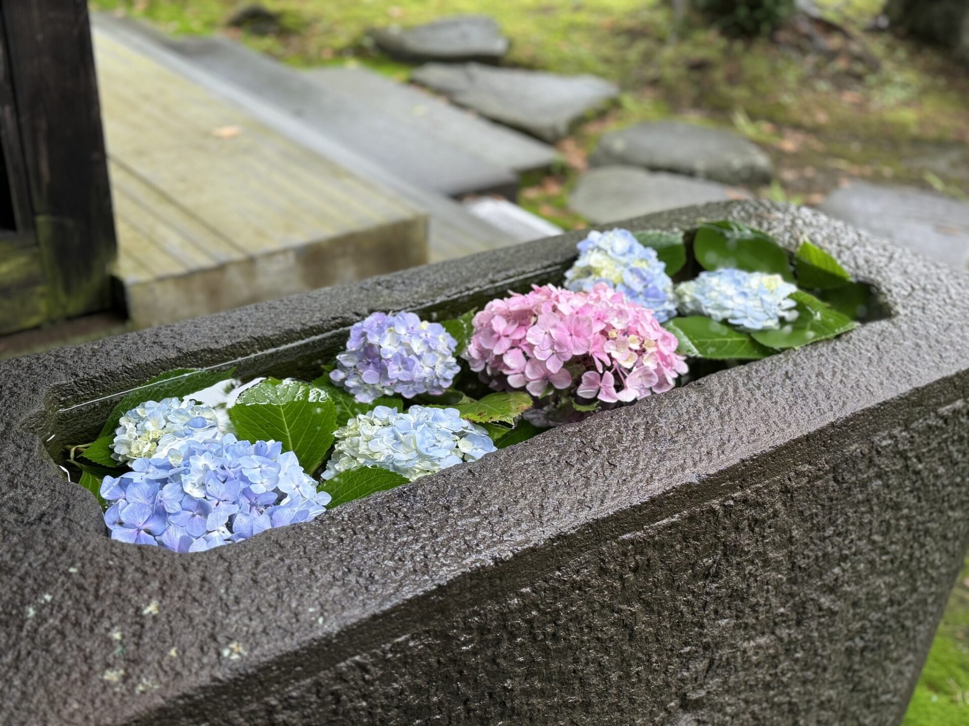 心のケア・グリーフサポート