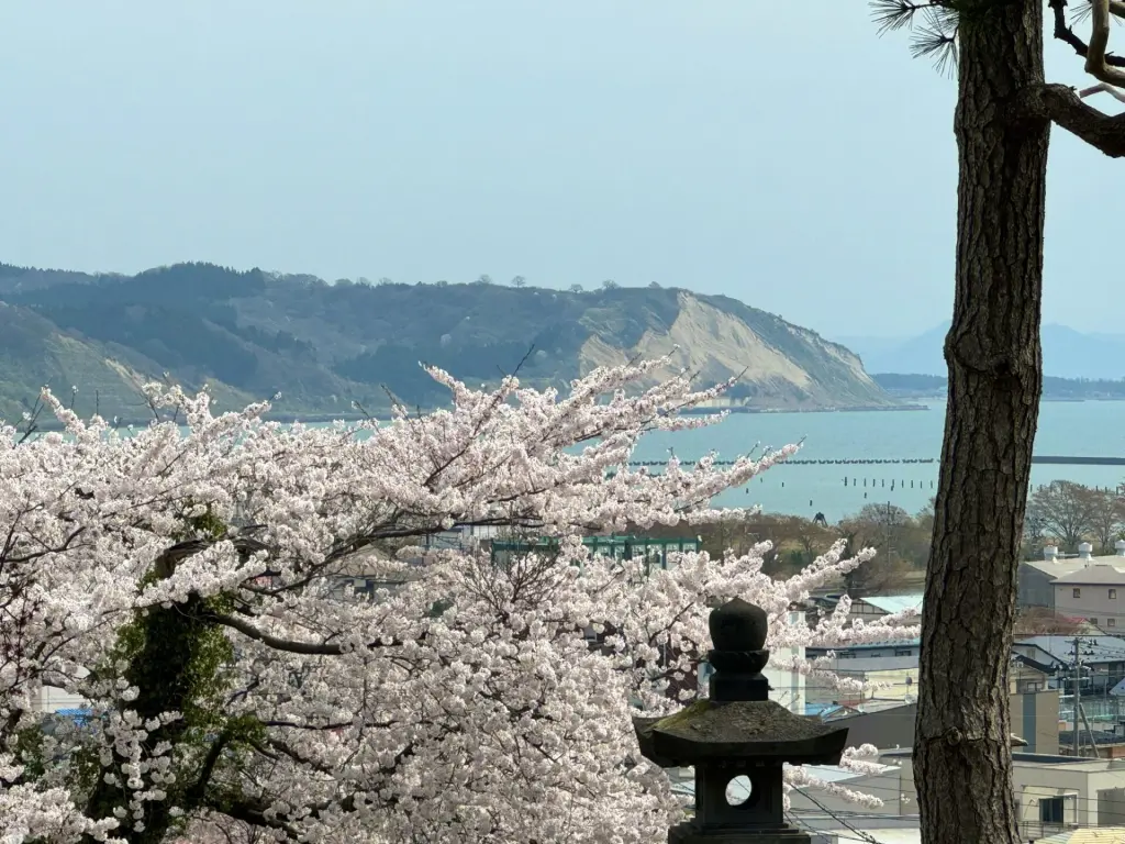 大龍寺　朝の庭園坐禅