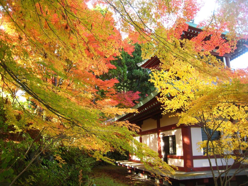 大龍寺　朝の庭園坐禅