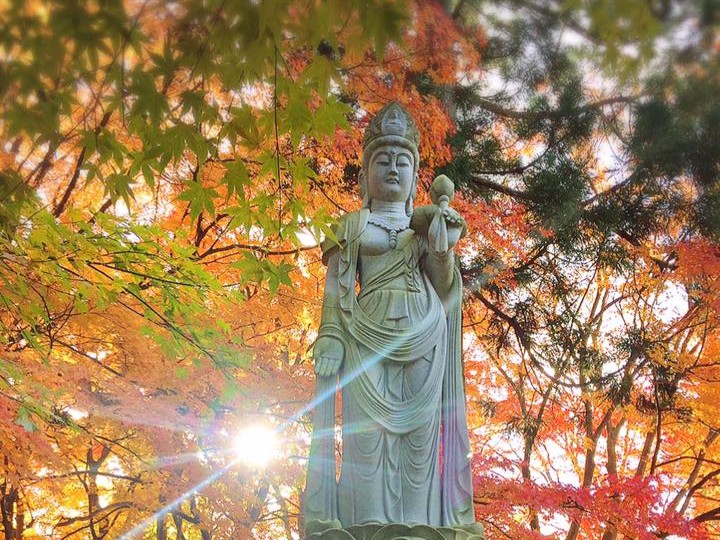 観音像　羅漢像　仏像群