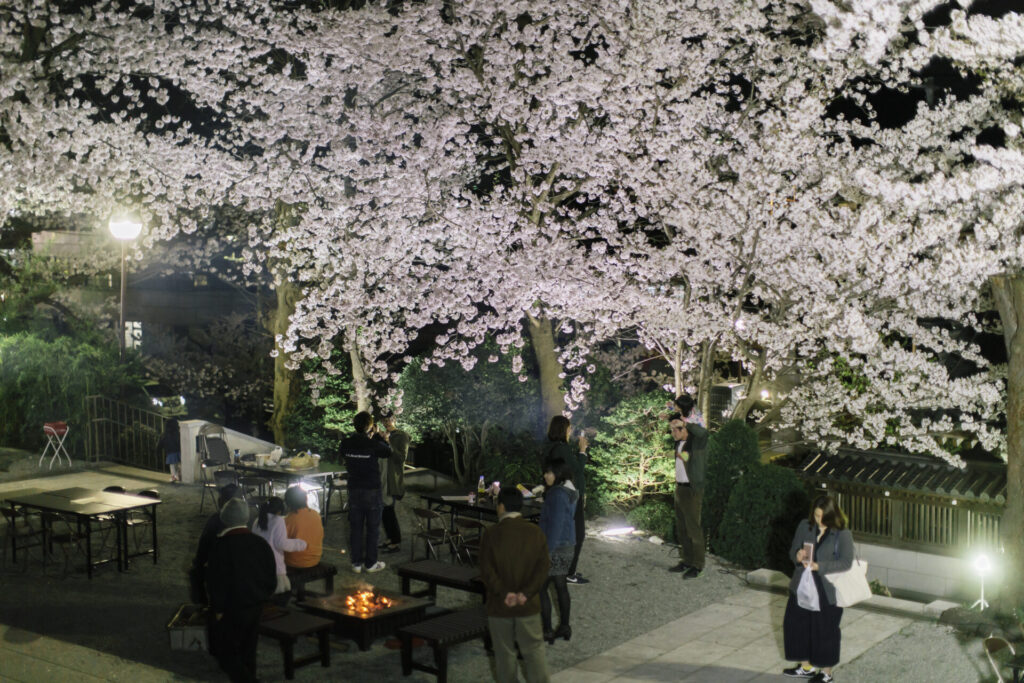 夜桜ライトアップ
