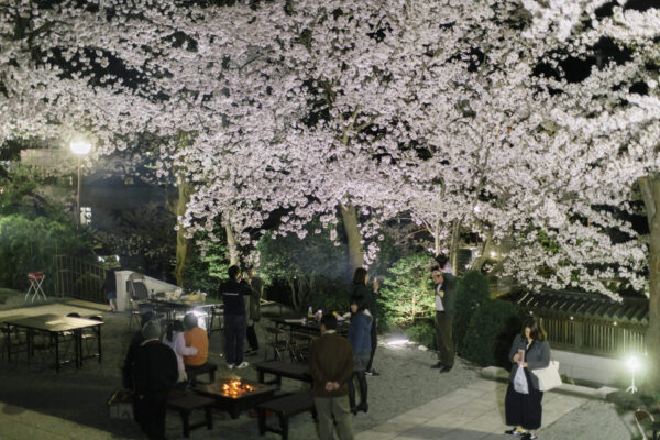 夜桜ライトアップ